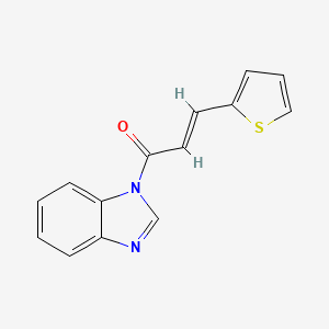 molecular formula C14H10N2OS B5343279 1-[3-(2-thienyl)acryloyl]-1H-benzimidazole 