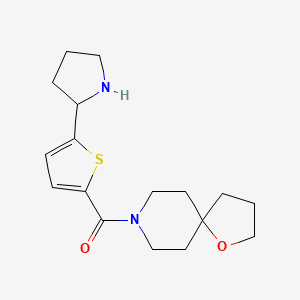 8-{[5-(2-pyrrolidinyl)-2-thienyl]carbonyl}-1-oxa-8-azaspiro[4.5]decane