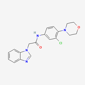 molecular formula C19H19ClN4O2 B5349859 2-(1H-benzimidazol-1-yl)-N-[3-chloro-4-(4-morpholinyl)phenyl]acetamide 