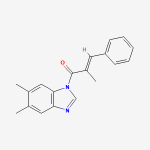 molecular formula C19H18N2O B5350542 5,6-dimethyl-1-(2-methyl-3-phenylacryloyl)-1H-benzimidazole 