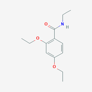 molecular formula C13H19NO3 B5351611 2,4-diethoxy-N-ethylbenzamide 