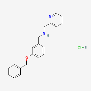 molecular formula C20H21ClN2O B5357315 [3-(benzyloxy)benzyl](2-pyridinylmethyl)amine hydrochloride 