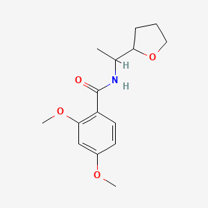 2,4-dimethoxy-N-[1-(oxolan-2-yl)ethyl]benzamide