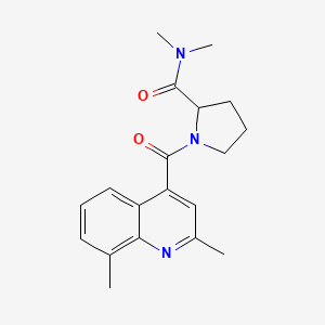 molecular formula C19H23N3O2 B5360694 1-[(2,8-dimethylquinolin-4-yl)carbonyl]-N,N-dimethylprolinamide 