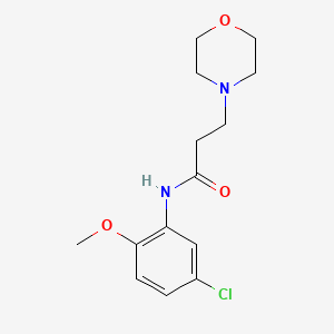 molecular formula C14H19ClN2O3 B5361346 N-(5-chloro-2-methoxyphenyl)-3-(4-morpholinyl)propanamide 