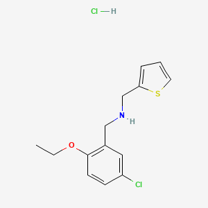 N-[(5-chloro-2-ethoxyphenyl)methyl]-1-thiophen-2-ylmethanamine;hydrochloride