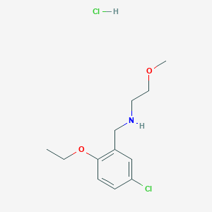 molecular formula C12H19Cl2NO2 B5369251 N-(5-chloro-2-ethoxybenzyl)-2-methoxyethanamine hydrochloride 