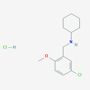 N-(5-chloro-2-methoxybenzyl)cyclohexanamine hydrochloride