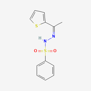 molecular formula C12H12N2O2S2 B5372703 N'-[1-(2-thienyl)ethylidene]benzenesulfonohydrazide 