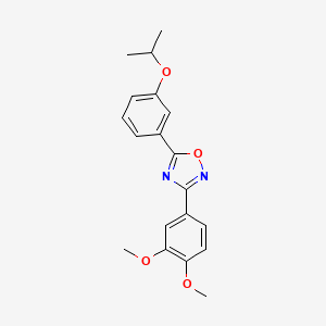 molecular formula C19H20N2O4 B5373924 3-(3,4-dimethoxyphenyl)-5-(3-isopropoxyphenyl)-1,2,4-oxadiazole 