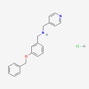 molecular formula C20H21ClN2O B5373934 [3-(benzyloxy)benzyl](4-pyridinylmethyl)amine hydrochloride 