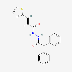 molecular formula C21H18N2O2S B5375907 N'-(diphenylacetyl)-3-(2-thienyl)acrylohydrazide 