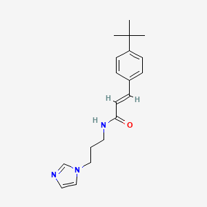 molecular formula C19H25N3O B5379239 3-(4-tert-butylphenyl)-N-[3-(1H-imidazol-1-yl)propyl]acrylamide 