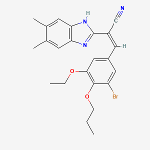 molecular formula C23H24BrN3O2 B5379683 3-(3-bromo-5-ethoxy-4-propoxyphenyl)-2-(5,6-dimethyl-1H-benzimidazol-2-yl)acrylonitrile 