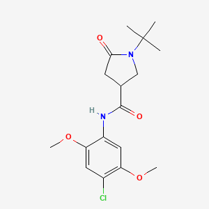 1-tert-butyl-N-(4-chloro-2,5-dimethoxyphenyl)-5-oxopyrrolidine-3-carboxamide