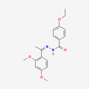 molecular formula C19H22N2O4 B5384385 N-[(Z)-1-(2,4-dimethoxyphenyl)ethylideneamino]-4-ethoxybenzamide 