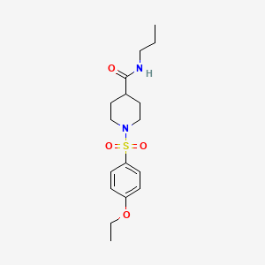 1-(4-ETHOXYBENZENESULFONYL)-N-PROPYLPIPERIDINE-4-CARBOXAMIDE