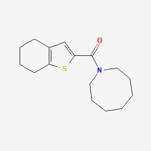 Azocan-1-yl(4,5,6,7-tetrahydro-1-benzothiophen-2-yl)methanone