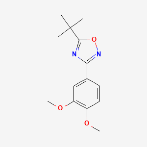 molecular formula C14H18N2O3 B5398151 5-tert-butyl-3-(3,4-dimethoxyphenyl)-1,2,4-oxadiazole 