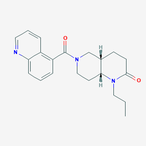 molecular formula C21H25N3O2 B5398829 (4aS*,8aR*)-1-propyl-6-(quinolin-5-ylcarbonyl)octahydro-1,6-naphthyridin-2(1H)-one 