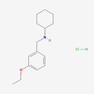 molecular formula C15H24ClNO B5399195 N-(3-ethoxybenzyl)cyclohexanamine hydrochloride CAS No. 1049678-20-7