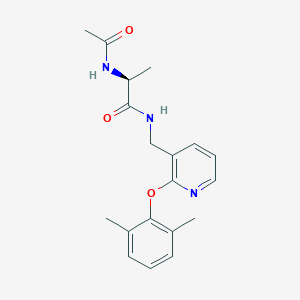 molecular formula C19H23N3O3 B5399941 N~2~-acetyl-N~1~-{[2-(2,6-dimethylphenoxy)pyridin-3-yl]methyl}-L-alaninamide 