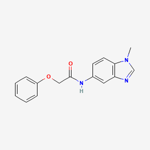 molecular formula C16H15N3O2 B5400755 N-(1-methyl-1H-benzimidazol-5-yl)-2-phenoxyacetamide 