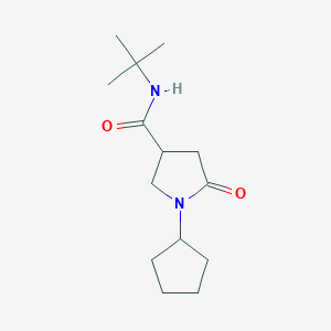 molecular formula C14H24N2O2 B5401678 N-(tert-butyl)-1-cyclopentyl-5-oxopyrrolidine-3-carboxamide 