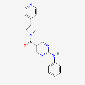 molecular formula C19H17N5O B5403279 N-phenyl-5-{[3-(4-pyridinyl)-1-azetidinyl]carbonyl}-2-pyrimidinamine 