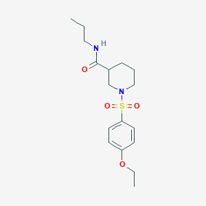 1-(4-ETHOXYBENZENESULFONYL)-N-PROPYLPIPERIDINE-3-CARBOXAMIDE