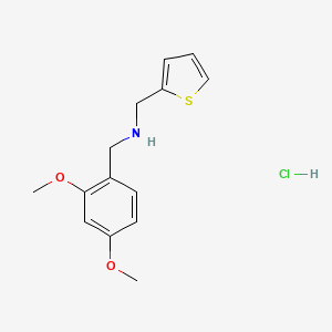 molecular formula C14H18ClNO2S B5413745 (2,4-dimethoxybenzyl)(2-thienylmethyl)amine hydrochloride 