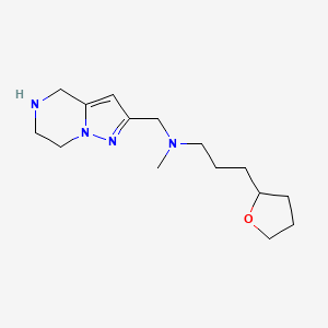 molecular formula C15H26N4O B5426495 N-methyl-3-(tetrahydro-2-furanyl)-N-(4,5,6,7-tetrahydropyrazolo[1,5-a]pyrazin-2-ylmethyl)-1-propanamine dihydrochloride 