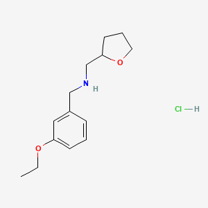 molecular formula C14H22ClNO2 B5431632 (3-ethoxybenzyl)(tetrahydro-2-furanylmethyl)amine hydrochloride 