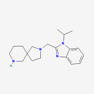 molecular formula C19H28N4 B5432378 2-[(1-isopropyl-1H-benzimidazol-2-yl)methyl]-2,7-diazaspiro[4.5]decane dihydrochloride 