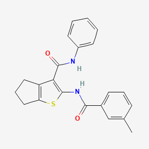 2-(3-METHYLBENZAMIDO)-N-PHENYL-4H,5H,6H-CYCLOPENTA[B]THIOPHENE-3-CARBOXAMIDE