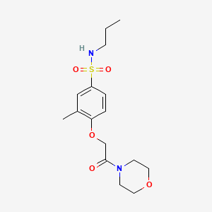 molecular formula C16H24N2O5S B5433070 3-METHYL-4-[2-(MORPHOLIN-4-YL)-2-OXOETHOXY]-N-PROPYLBENZENE-1-SULFONAMIDE 