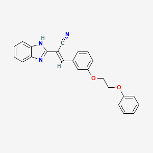 molecular formula C24H19N3O2 B5433435 2-(1H-benzimidazol-2-yl)-3-[3-(2-phenoxyethoxy)phenyl]acrylonitrile 