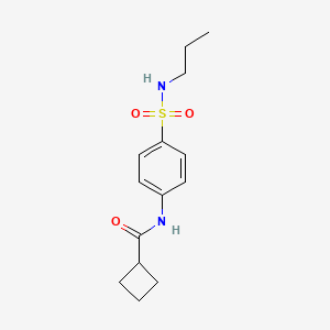 molecular formula C14H20N2O3S B5433455 N-[4-(propylsulfamoyl)phenyl]cyclobutanecarboxamide 