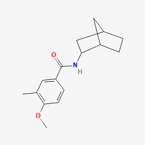 N-bicyclo[2.2.1]hept-2-yl-4-methoxy-3-methylbenzamide