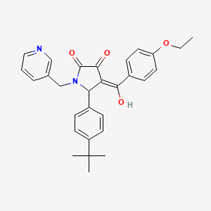 molecular formula C29H30N2O4 B5435340 5-(4-tert-butylphenyl)-4-(4-ethoxybenzoyl)-3-hydroxy-1-(3-pyridinylmethyl)-1,5-dihydro-2H-pyrrol-2-one 