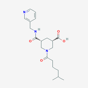 molecular formula C20H29N3O4 B5436254 (3S*,5R*)-1-(5-methylhexanoyl)-5-{[(3-pyridinylmethyl)amino]carbonyl}-3-piperidinecarboxylic acid 