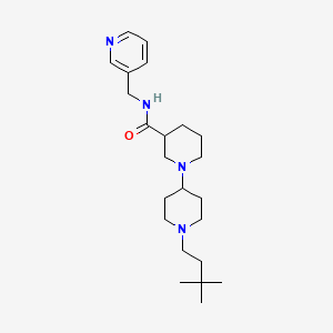 molecular formula C23H38N4O B5436926 1'-(3,3-dimethylbutyl)-N-(pyridin-3-ylmethyl)-1,4'-bipiperidine-3-carboxamide 