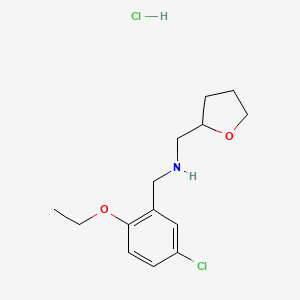 molecular formula C14H21Cl2NO2 B5437853 (5-chloro-2-ethoxybenzyl)(tetrahydro-2-furanylmethyl)amine hydrochloride 