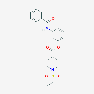 molecular formula C21H24N2O5S B5438232 3-(benzoylamino)phenyl 1-(ethylsulfonyl)-4-piperidinecarboxylate 