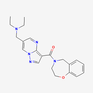 molecular formula C21H25N5O2 B5438535 N-{[3-(2,3-dihydro-1,4-benzoxazepin-4(5H)-ylcarbonyl)pyrazolo[1,5-a]pyrimidin-6-yl]methyl}-N-ethylethanamine 