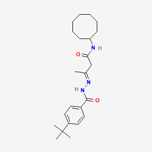 3-[(4-tert-butylbenzoyl)hydrazono]-N-cyclooctylbutanamide