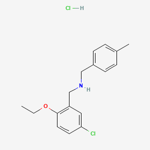 molecular formula C17H21Cl2NO B5439883 (5-chloro-2-ethoxybenzyl)(4-methylbenzyl)amine hydrochloride 