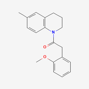 molecular formula C19H21NO2 B5440237 1-[(2-methoxyphenyl)acetyl]-6-methyl-1,2,3,4-tetrahydroquinoline 