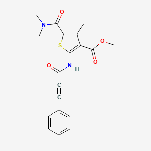 molecular formula C19H18N2O4S B5440928 methyl 5-[(dimethylamino)carbonyl]-4-methyl-2-[(3-phenyl-2-propynoyl)amino]-3-thiophenecarboxylate 
