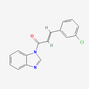 molecular formula C16H11ClN2O B5441522 1-[3-(3-chlorophenyl)acryloyl]-1H-benzimidazole 